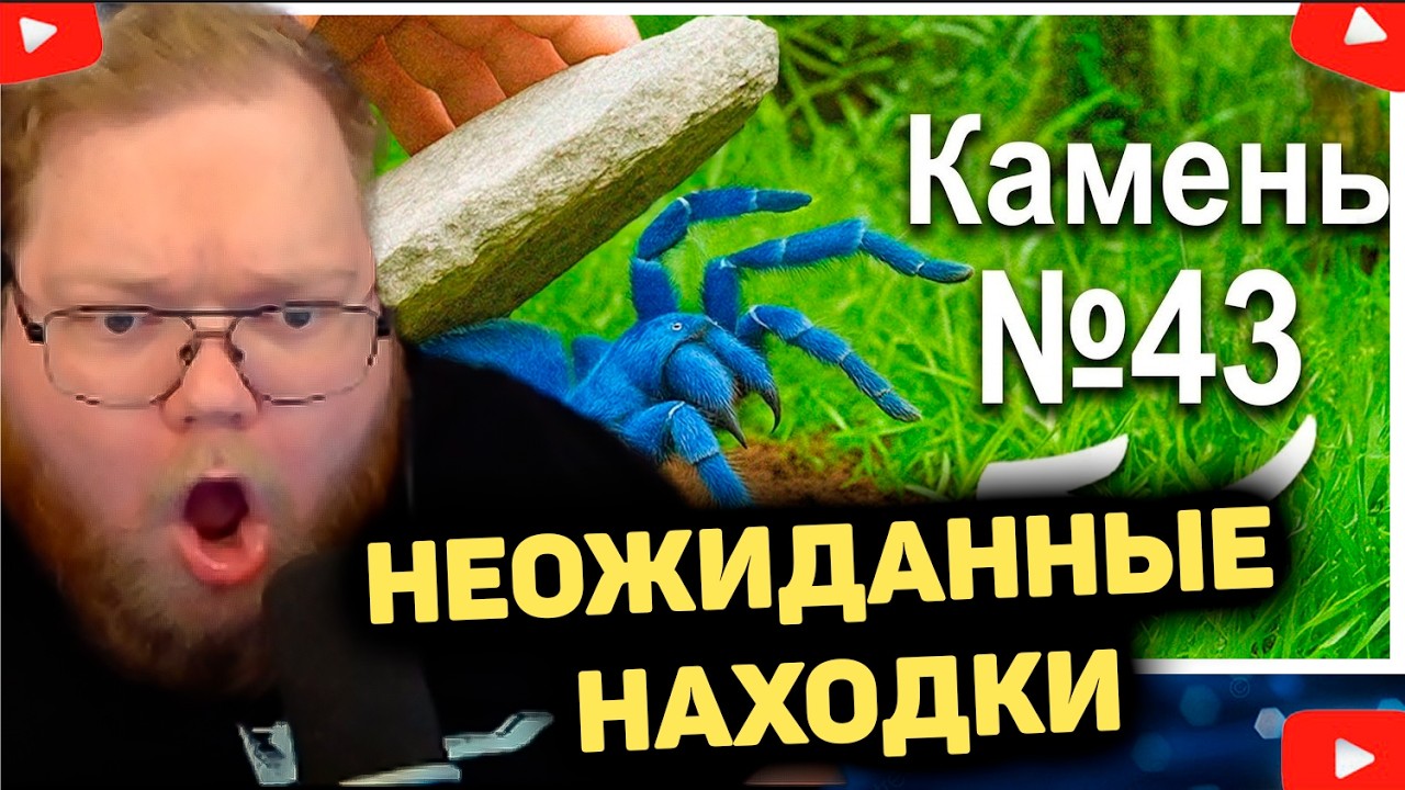T2x2 СМОТРИТ - Я Перевернул 100 Камней b Тропическом Лесу, Вот Что Я Нашёл...
