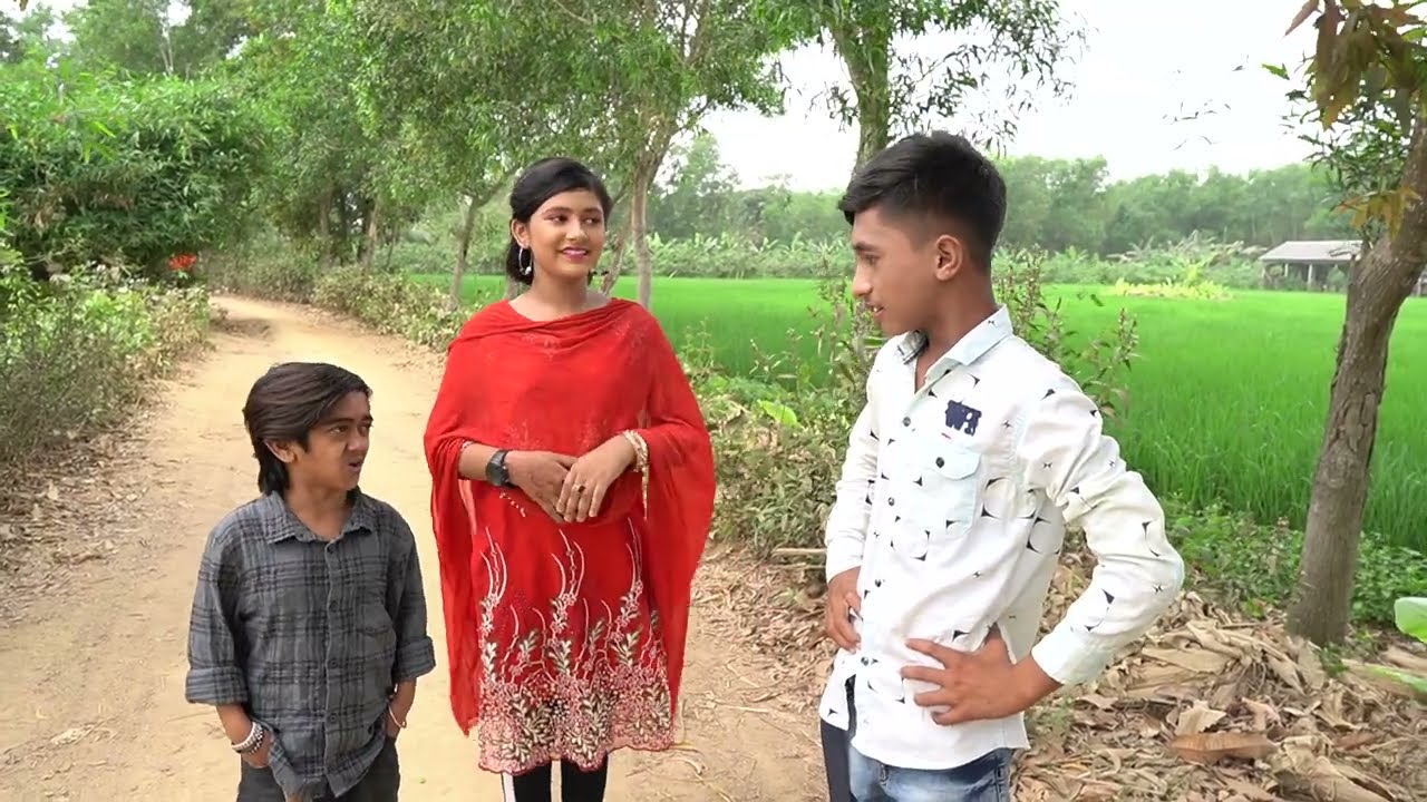 dihaner dustami