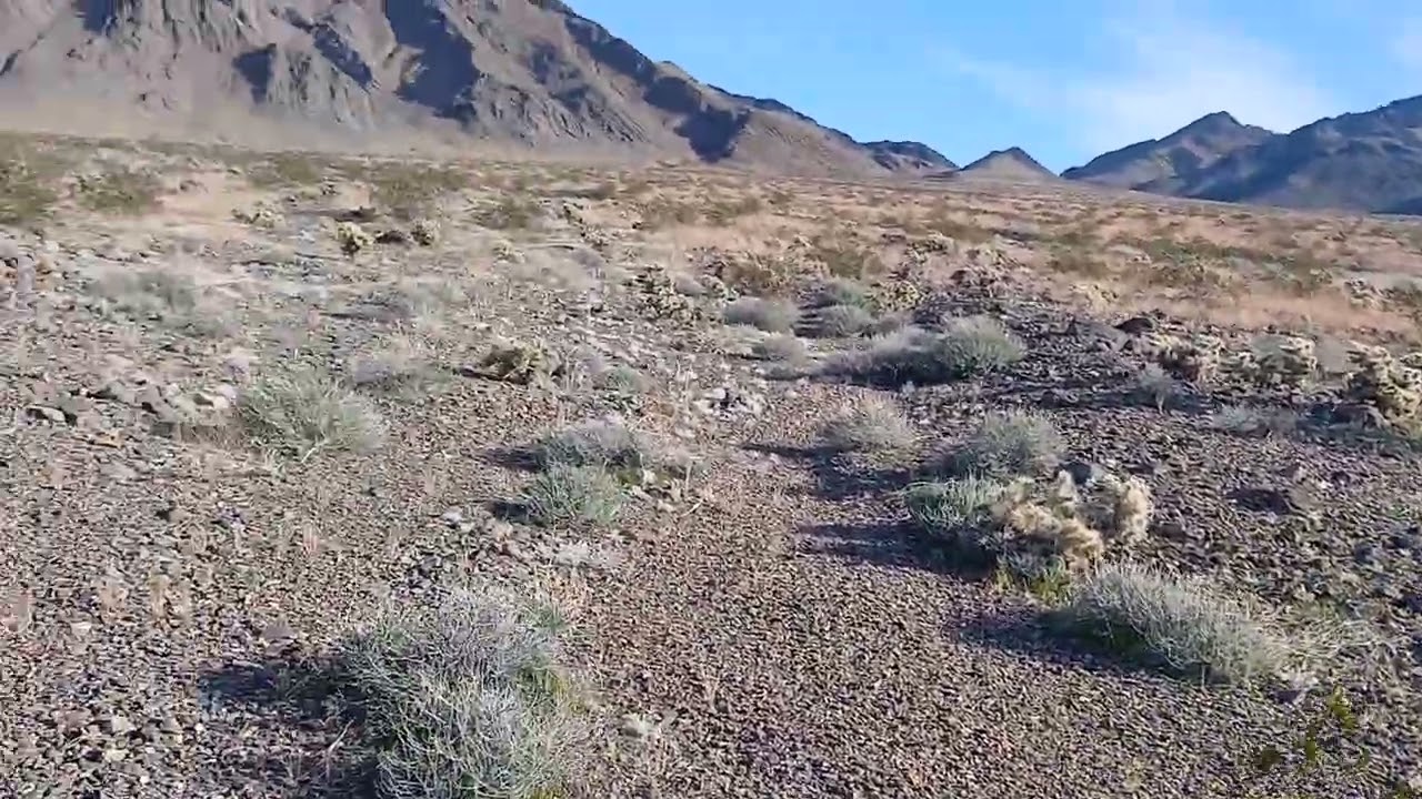 No AI just you in the Desert 