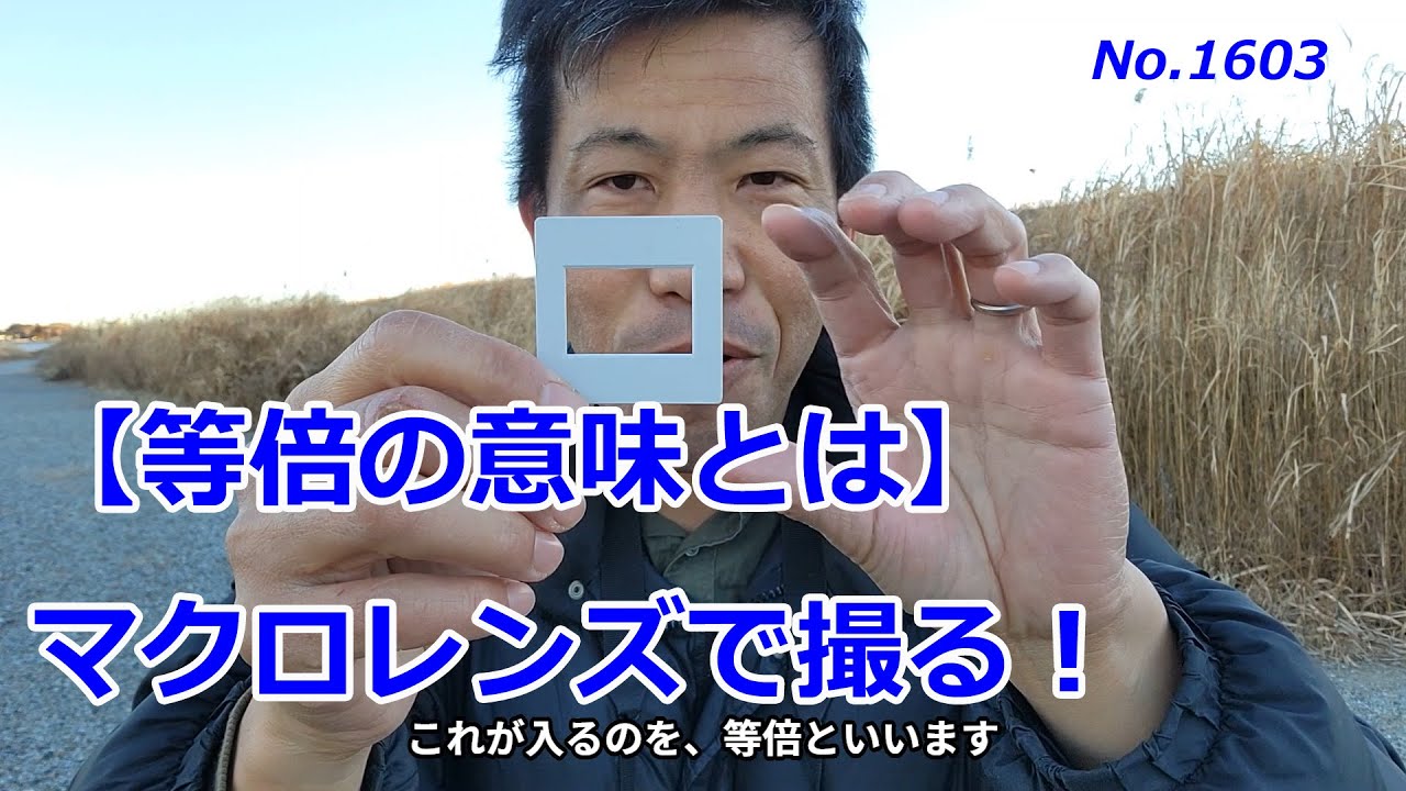 【等倍の意味って？】マクロレンズで冬の朝を撮る！（動画No.1603）