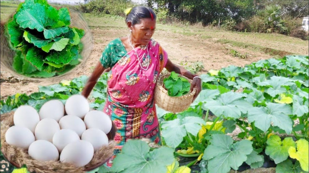 Farm fresh PUMPKIN LEAVES BORA and EGG VAPA cooking & eating by santali tribe grand maa
