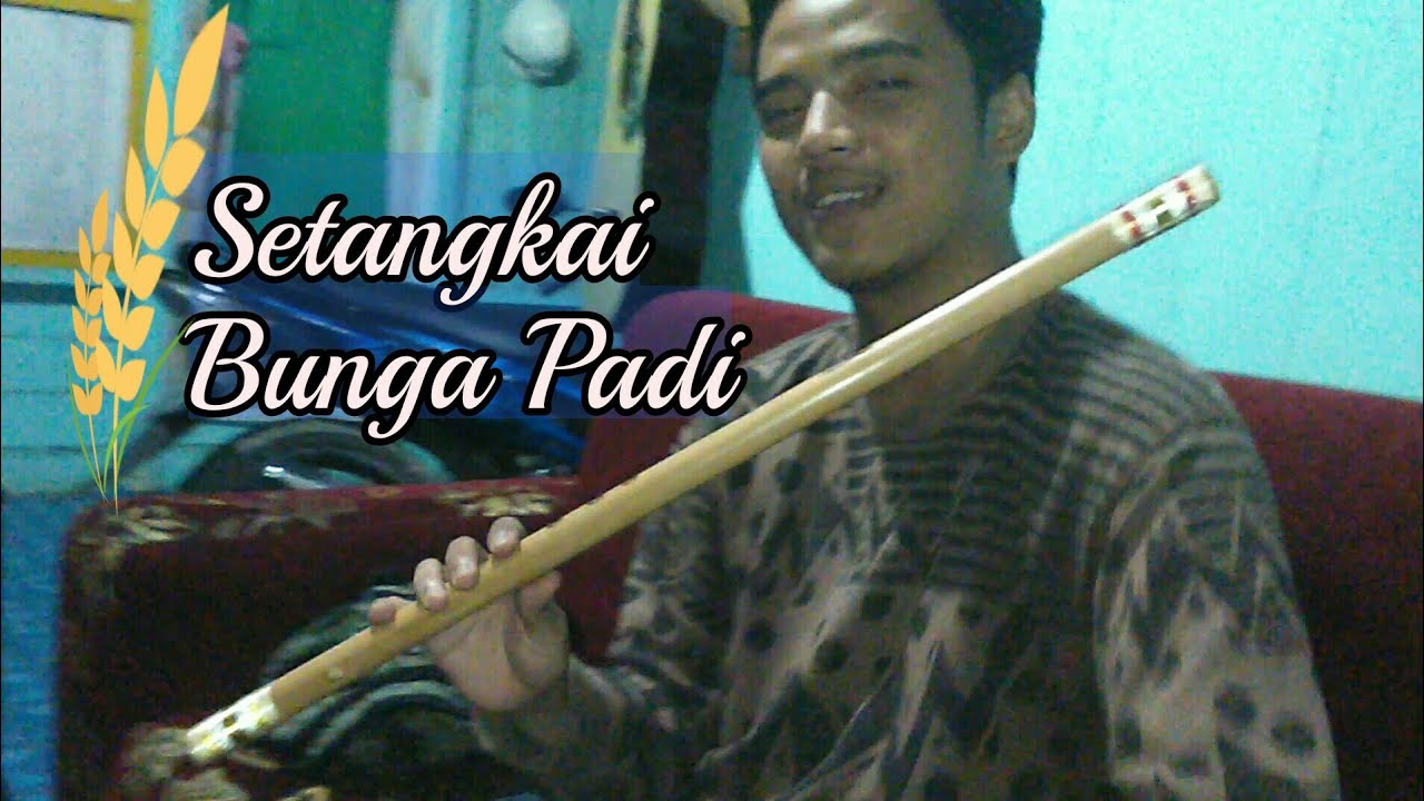 Setangkai bunga padi Ansul Suling
