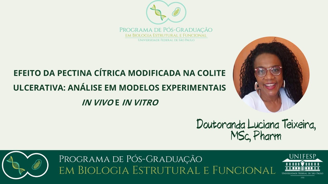 Projeto de doutorado- Luciana Teixeira