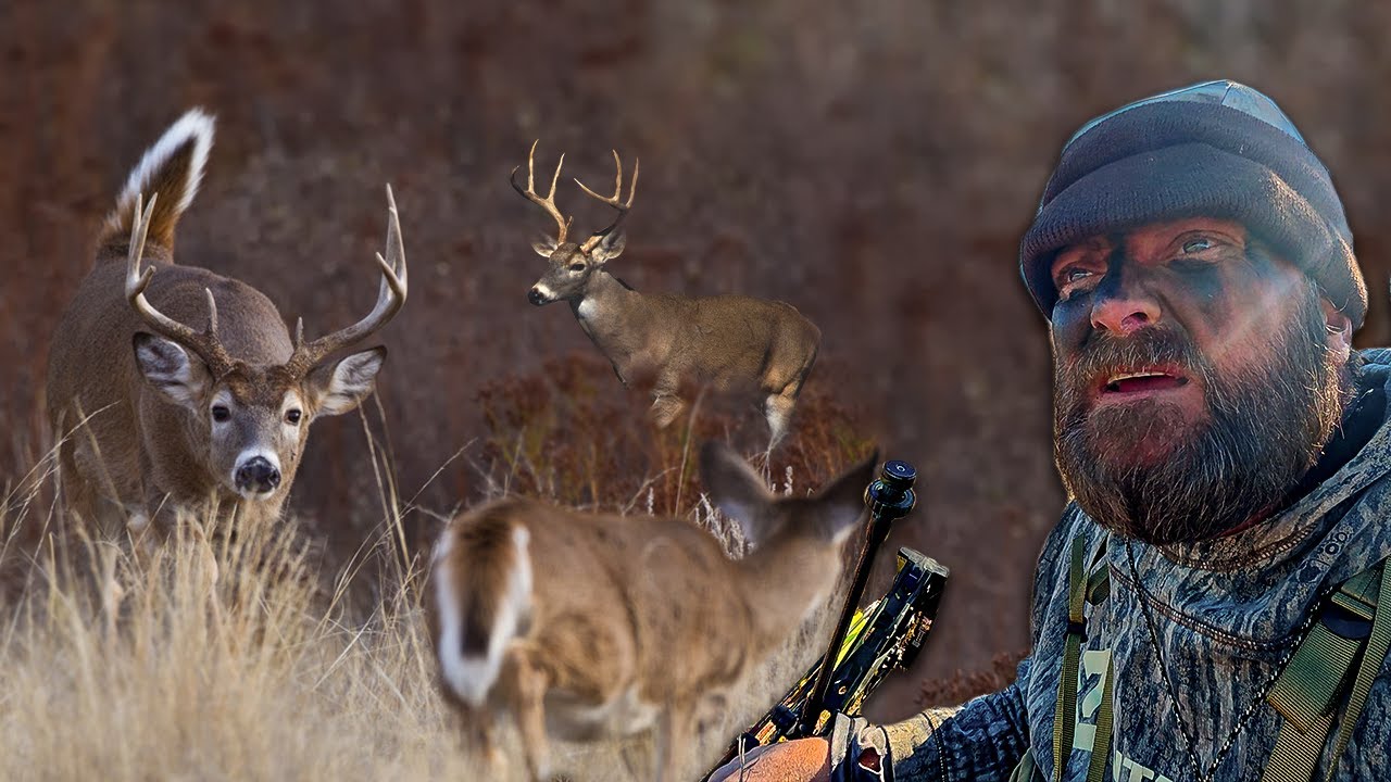BIG Bucks Running EVERYWHERE! Bowhunting the Rut