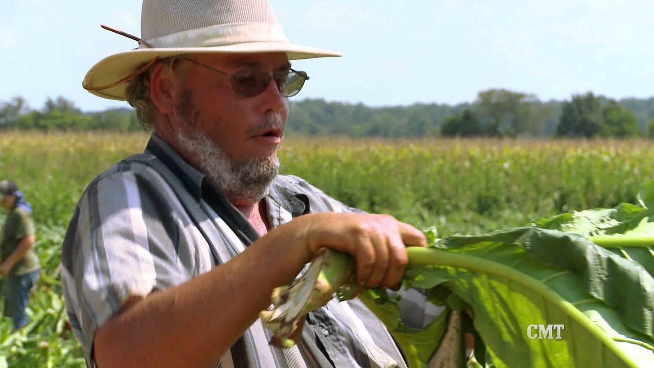 CMT's Tobacco Wars - Saturdays at 10/9c