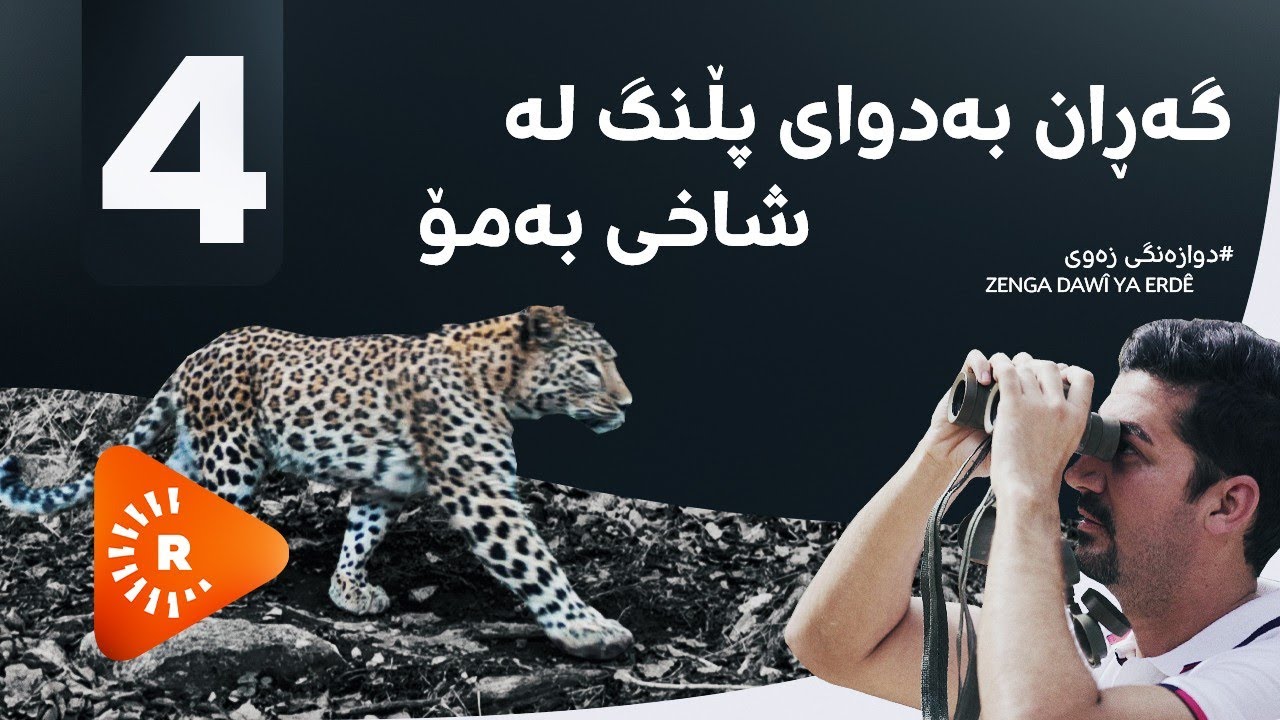 ZENGA DAWî YA ERDÊ-Li Çiyayê Bemoyê lêgerîna pilingan |دوازەنگی زەوی-گەڕان بەدوای پڵنگ لە شاخی بەمۆ