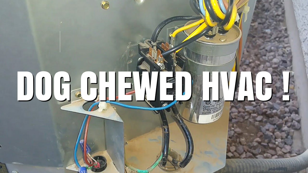 Here Is How To Fix Your HVAC If Your Dog Chewed Your Wires!