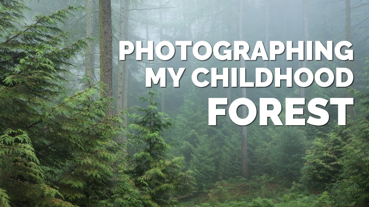 Photography in my Childhood Forest