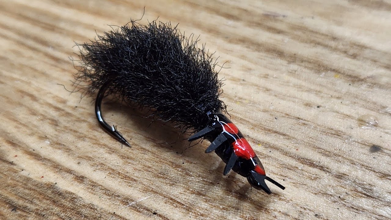 Buggy Bonie Cord Fly