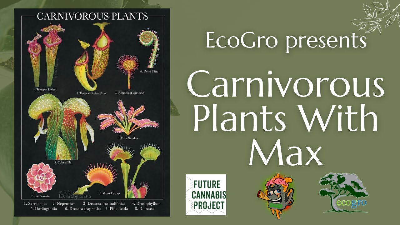 Ecogro Presents Carnivorous Plants with Max