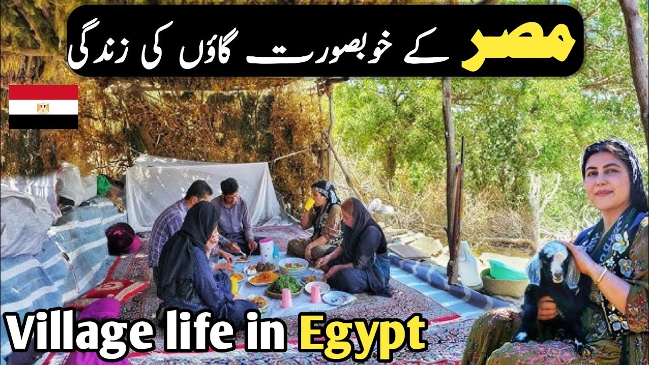 Egypt 🇪🇬 village life Documentary in Urdu and hindi || مصر کے گاؤں کی زندگی