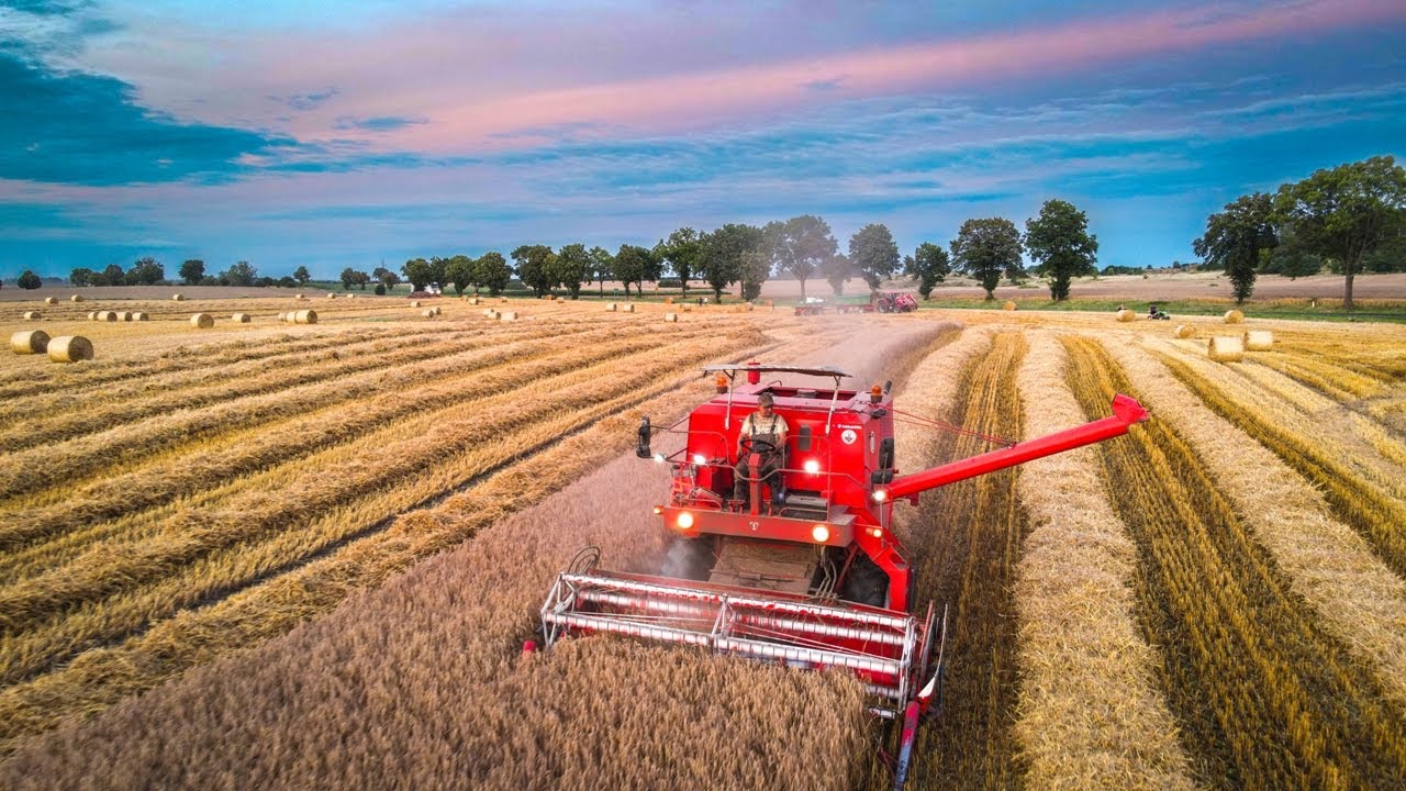 Żniwa 2023 🚜📷