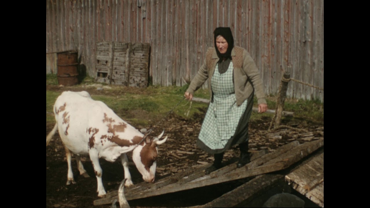 F&auml;bodar i Larsmo (1957)