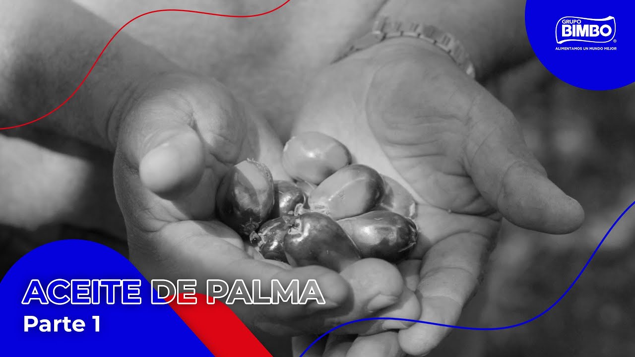 Grupo Bimbo | Conoce a nuestros proveedores y productores de aceite de palma (Parte 1)