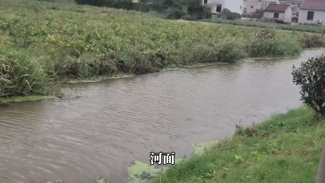 阴天也有清新的美好