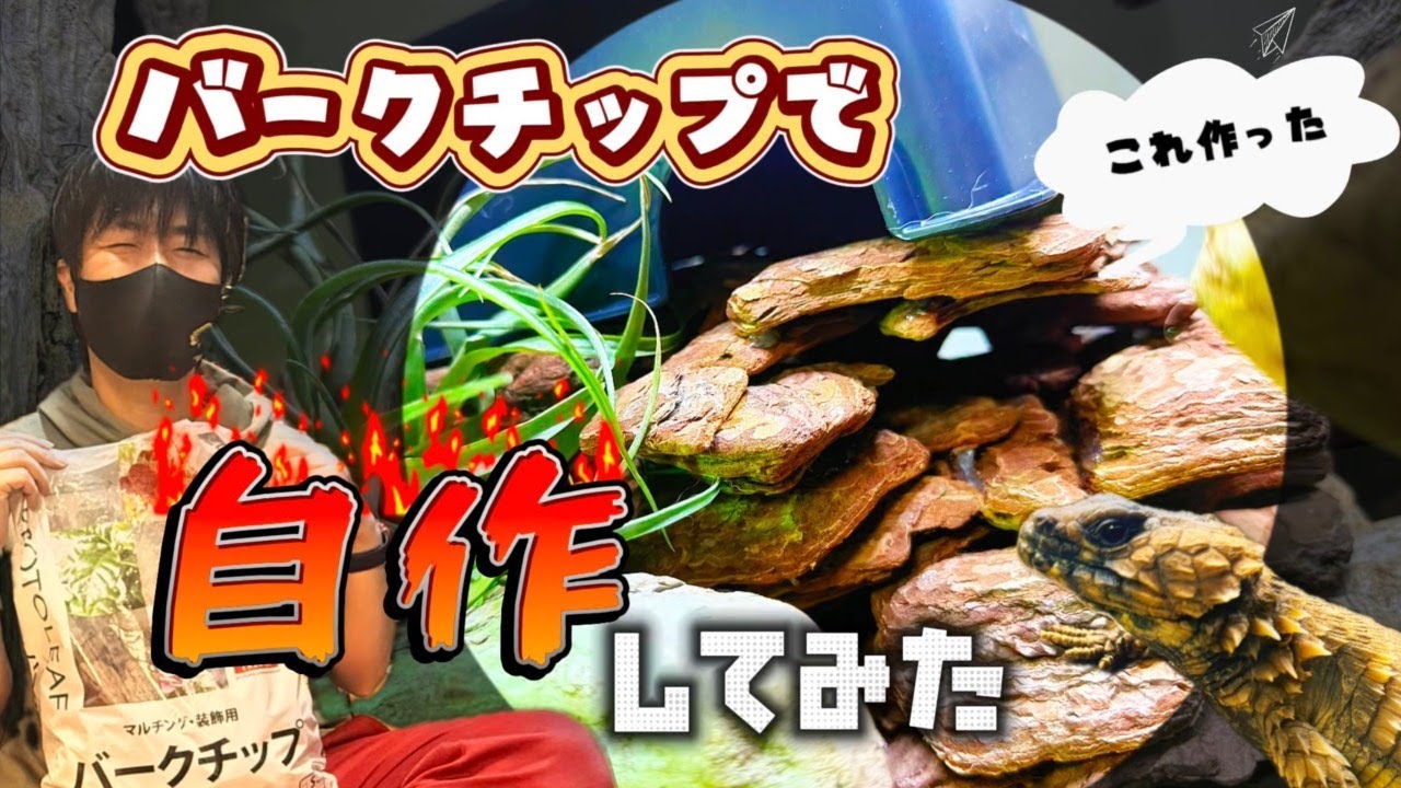 アルマジロトカゲのために自然風シェルターを作ってみた！