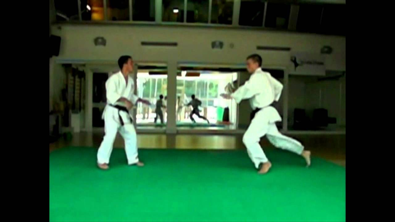 Dieci spettacolari tecniche di difesa personale riprese a 300fps .Shinken Shobu Kai
