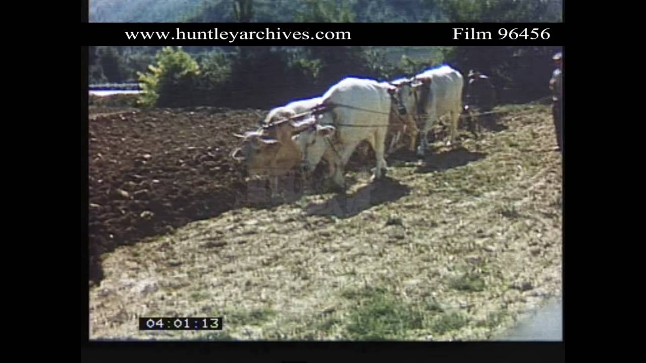Assisi in the 1950's.  Archive film 96456