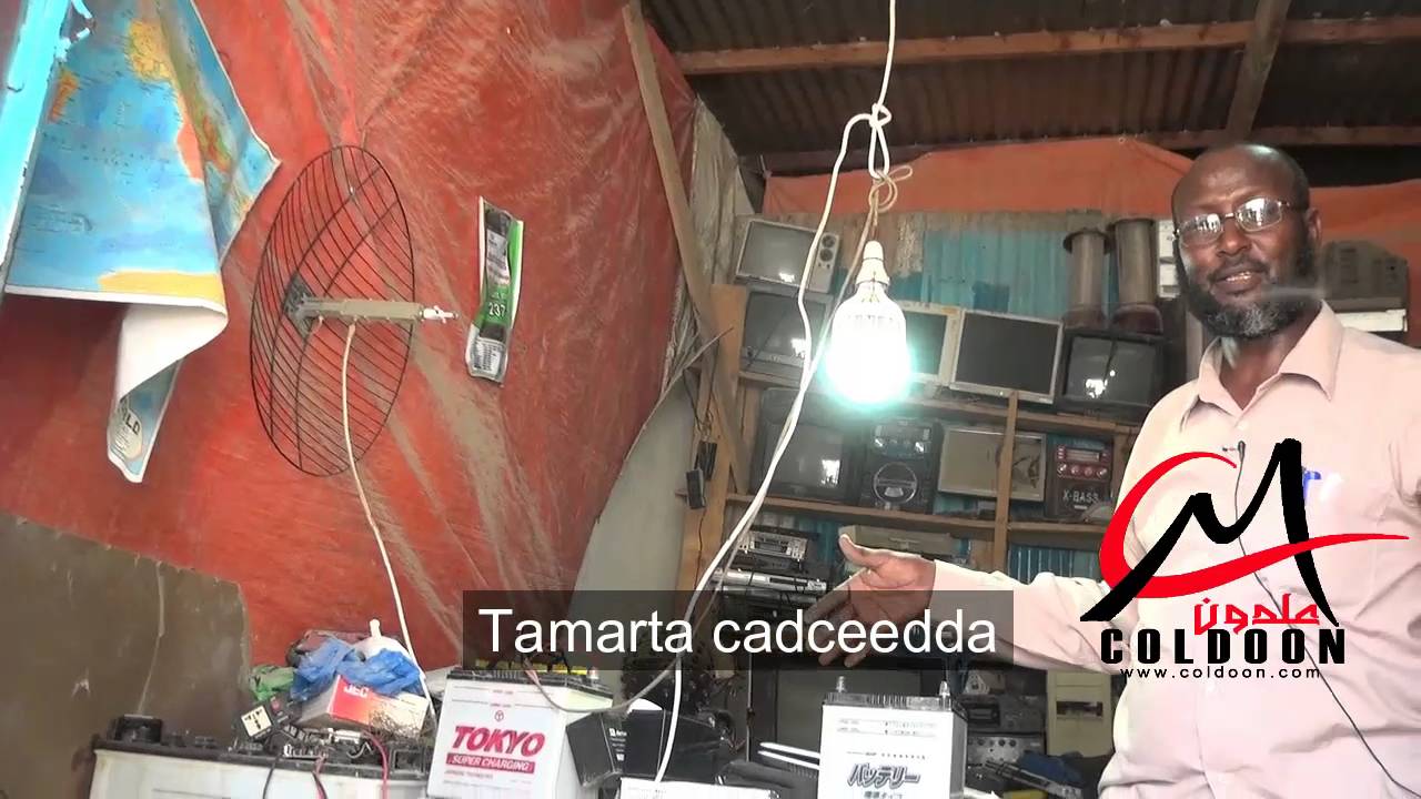 Tamarta cadceedda