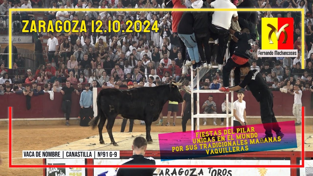 Zaragoza 12 ▪️10 ▪️ 2024 Fernando Machancoses ▪️ Fiestas únicas por sus mañanas vaquilleras.