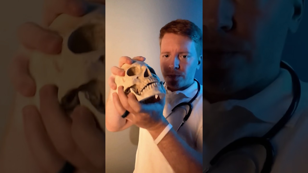 ASMR Doctor | Fixing Your Jaw #asmr