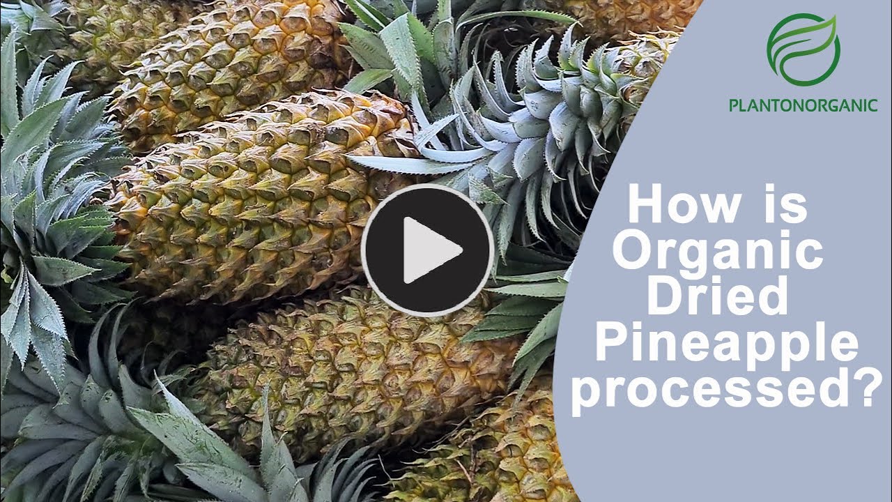How is Organic Dried Pineapple produced? | Story of Plantonorganic dry pineapple | Organic dry fruit