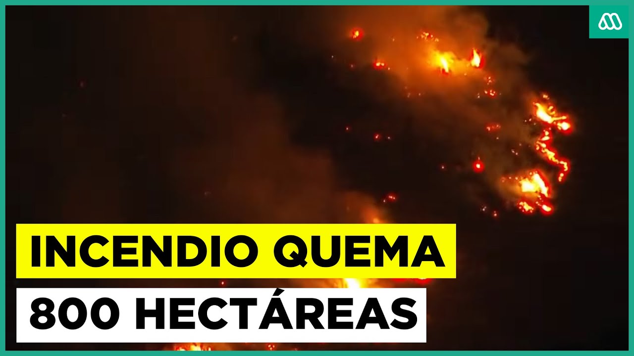 Incendio forestal consume 800 hect&aacute;reas