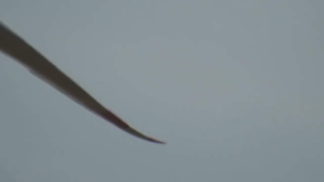 Wind Kraft Deutschland 3