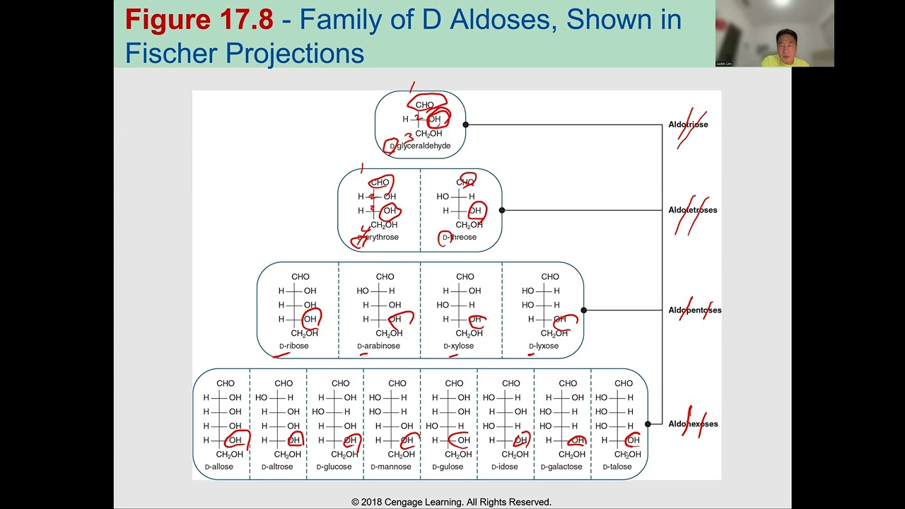 Chem 105 Chap 17 Carbohydrates
