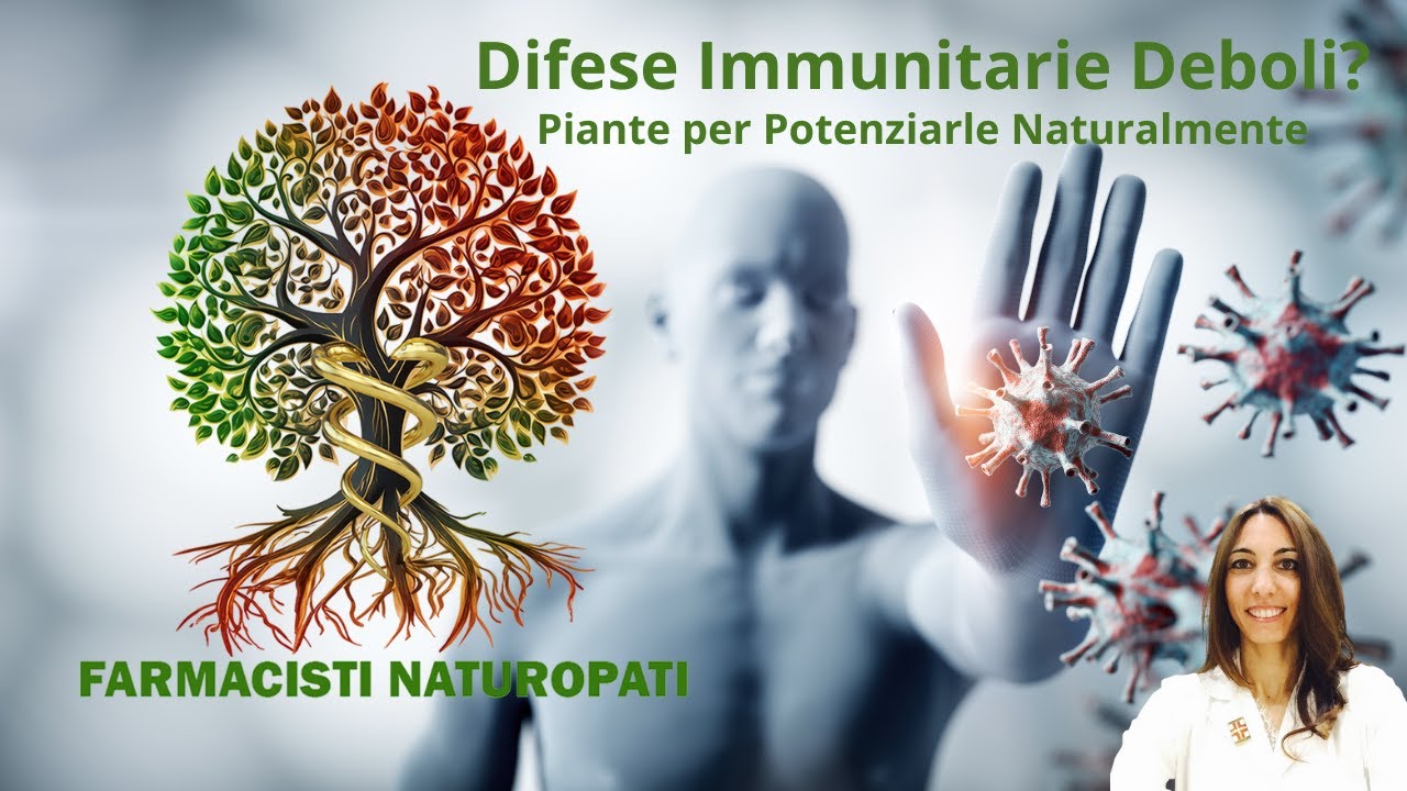 Difese Immunitarie Deboli? Le Piante per Potenziarle Naturalmente