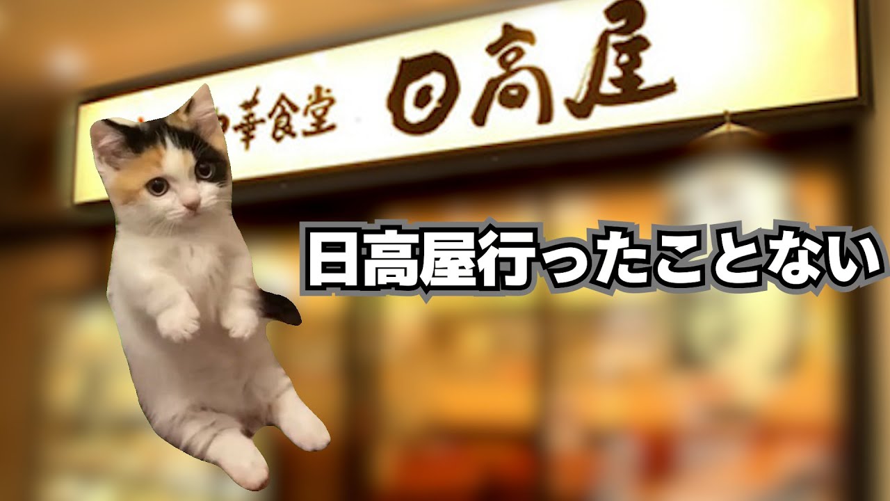 日高屋に初めて行ってドカ食いした何気ない話【猫ミーム】