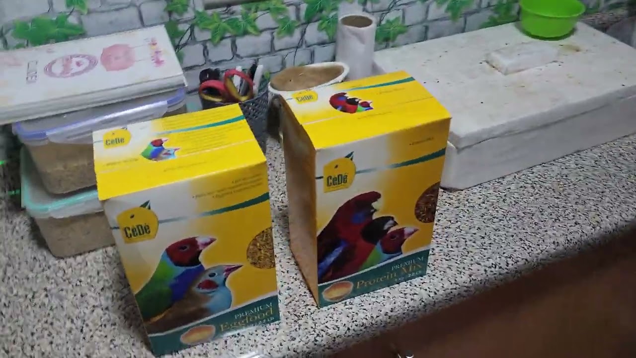 Preparación antes de la cria.