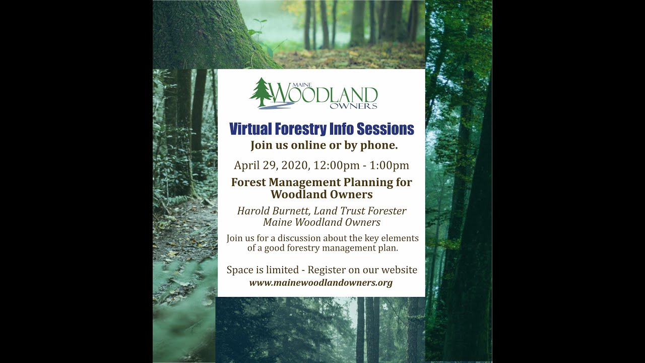 Forest Management Planning