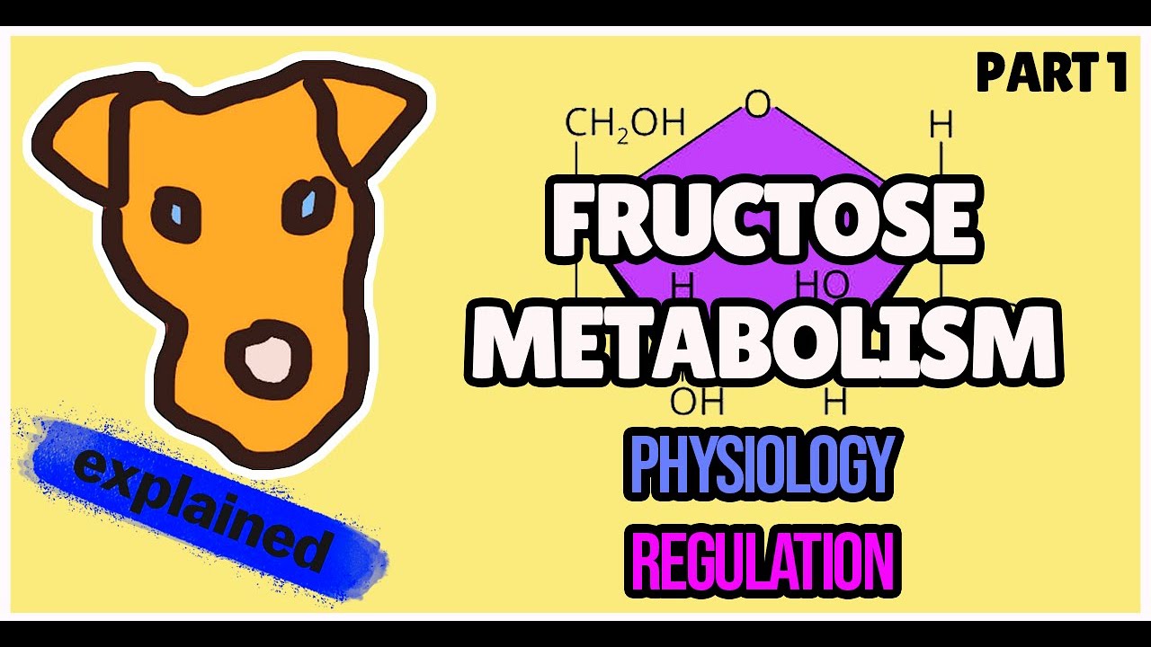 FRUCTOSE Metabolism Pathway for Step 1 Biochemistry