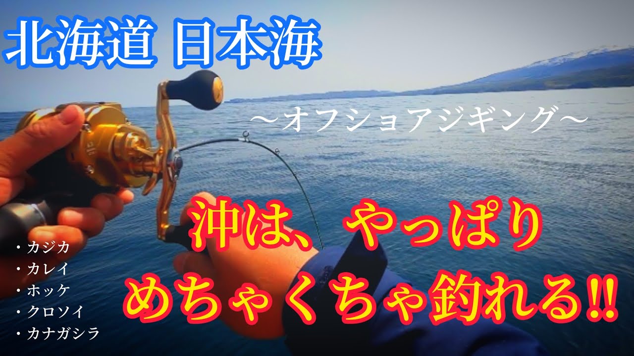【日本海の船釣り】デカいわ‼️釣れるわ‼️魚いすぎて大興奮🐟🔥✨#北海道釣り#船釣り#舟釣り#オフショア#五目釣り#積丹釣り#祝津港釣り#小樽港釣り#余市港釣り#石狩湾新港