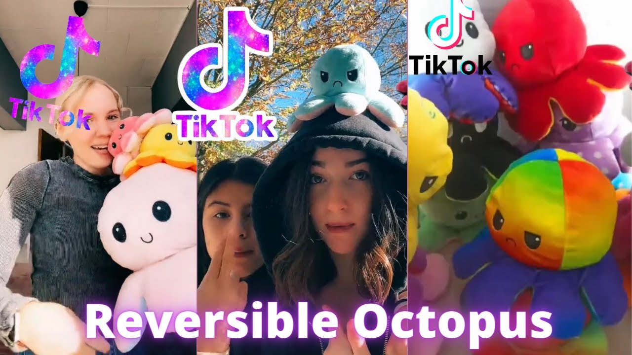 New Reversible Octopus TikTok 2021 #reversibleoctopus #toys #pulporeversible