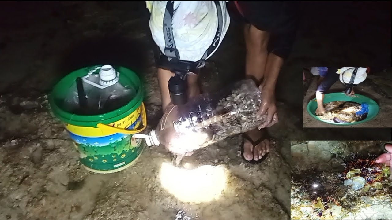 NANGHULI NG SARI_SARING LAMANG DAGAT SA MALAWAK NA HIBASANAN. SIGAY ,PUGITA, KIBIT, ISDA,#fyp