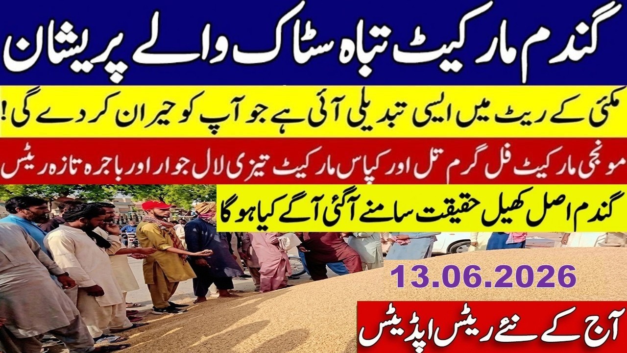 Today Wheat price in punjab | گندم کا ریٹ2026 | munji makki till sarso | Galla mandi rate today 2026
