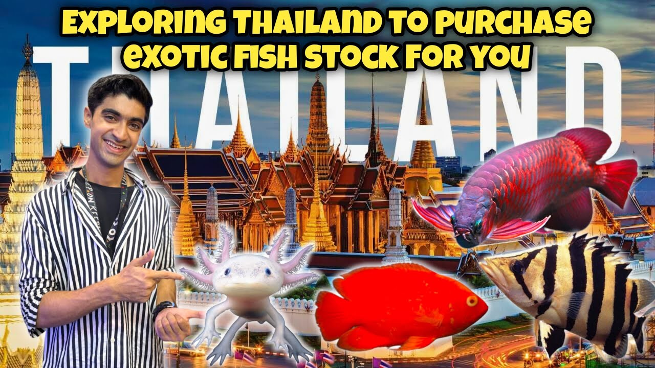 Thailand Aquarium Tour 🇹🇭 | Finding the Rarest Exotic Fish for My Shop! | fishlet Pakistan 🇵🇰 