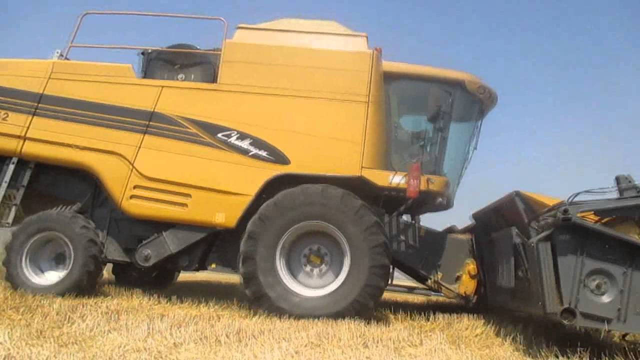 B&uacute;za arat&aacute;s 2015. / Wheat harvest  2015.