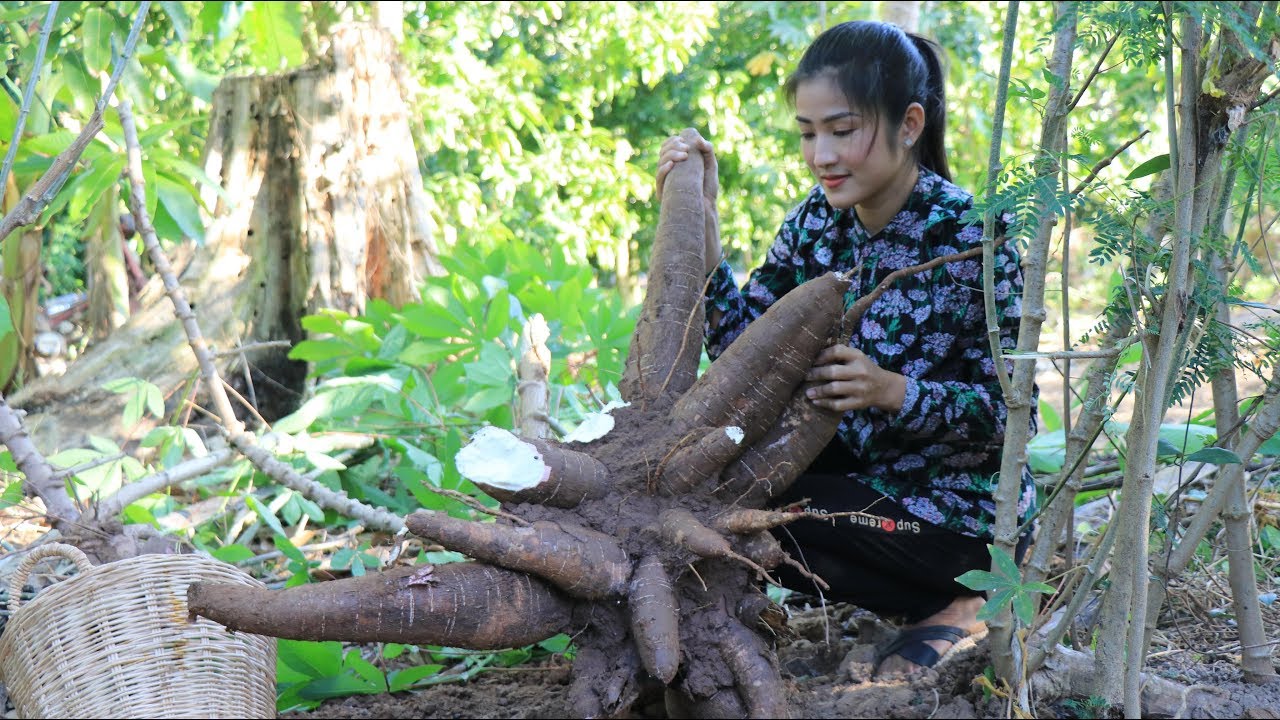 Amazing Cassava I Have Never Seen - Cassava Banana Leaf Cake - Prepare by countryside life TV.