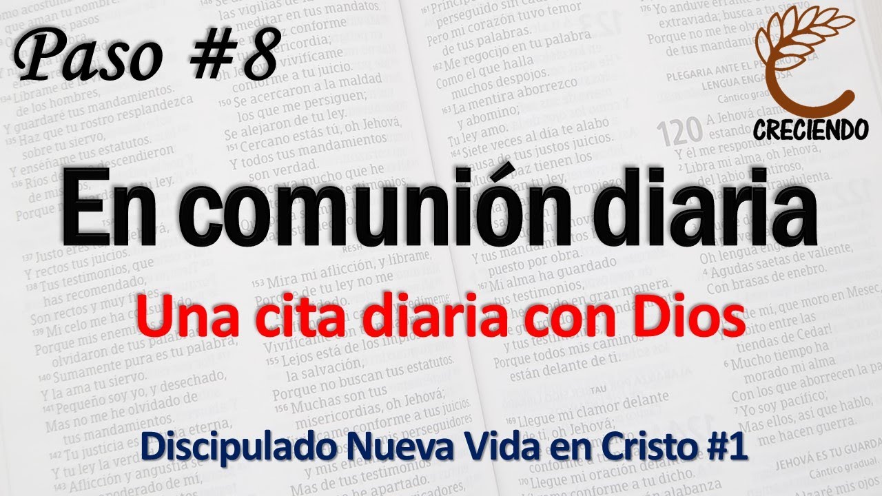 Paso 8 