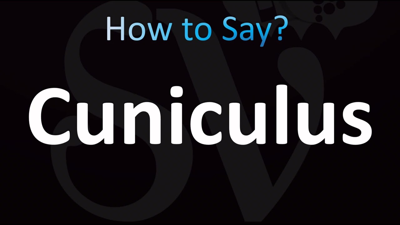 How to Pronounce Cuniculus (CORRECTLY!)