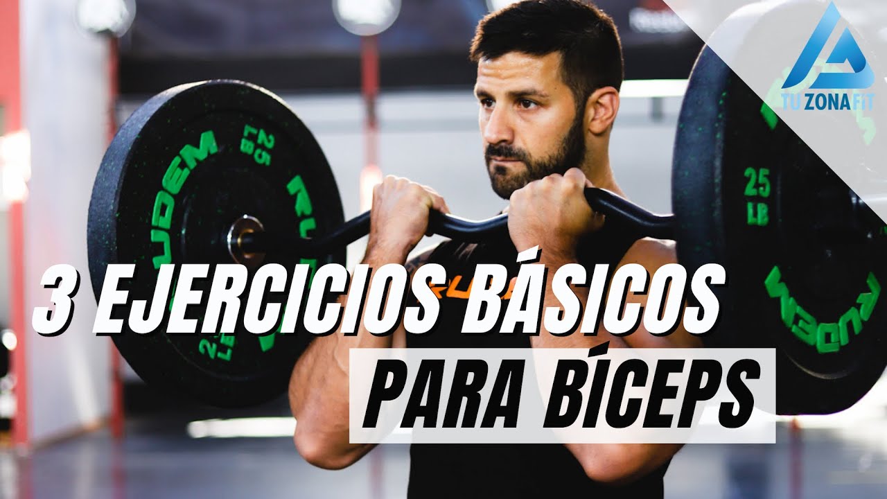 3 Ejercicios b&aacute;sicos para b&iacute;ceps - Con mancuernas y barra Z