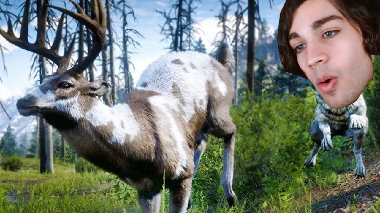 Trying to Studying Every Animal in Red Dead (very hard)