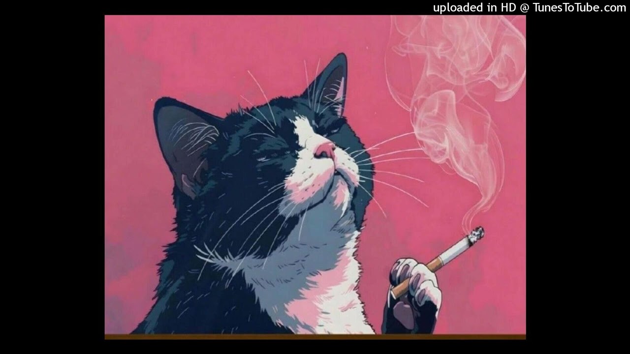 Nine Lives Like That