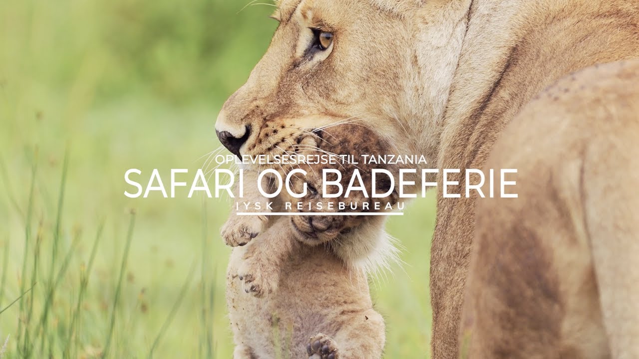 Oplevelsesrejse i Tanzania med safari og badeferie på Zanzibar | Jysk Rejsebureau