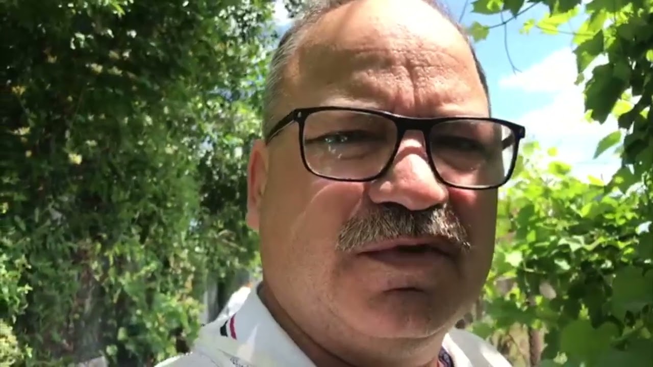Roi de Abine La Bragadiru