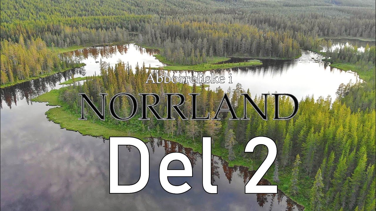 Abborrefiske i Norrland - DEL 2. -