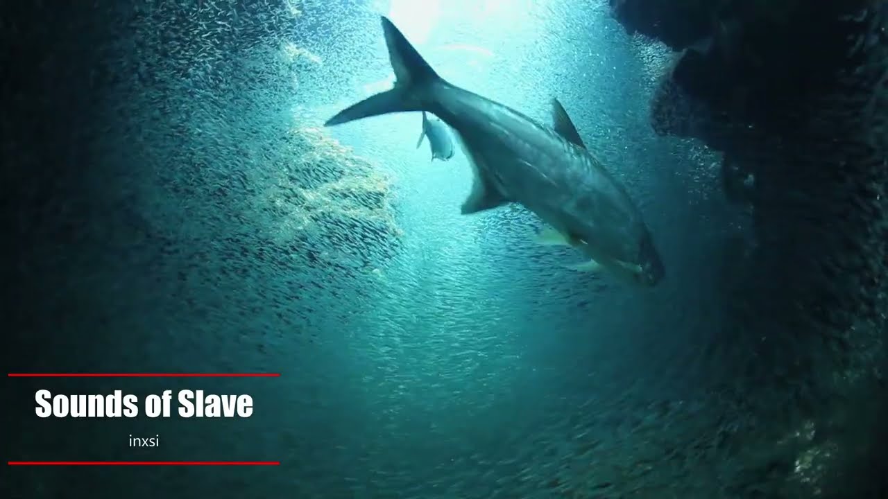 Sounds of Slave